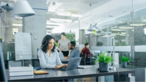 Back Office Executive